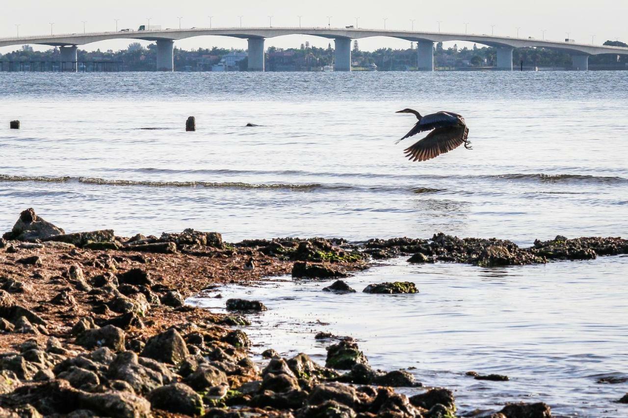 Sunsetter On Sapphire Shores Sarasota